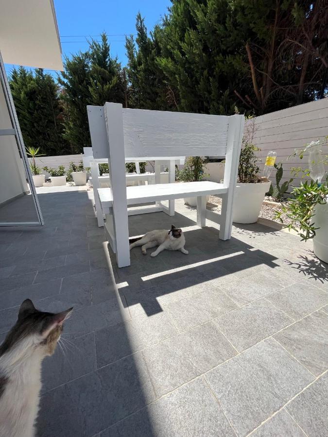 La Casa Di Nina Panzió Lecce Kültér fotó