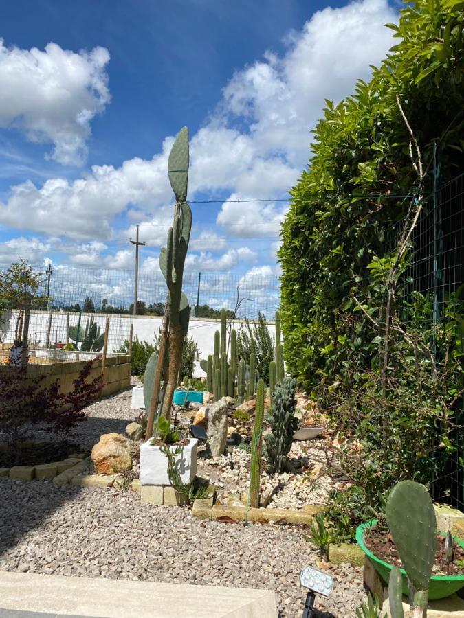 La Casa Di Nina Panzió Lecce Kültér fotó