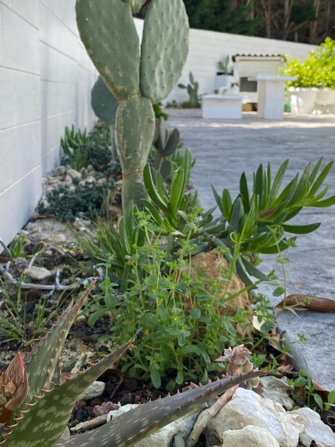 La Casa Di Nina Panzió Lecce Kültér fotó